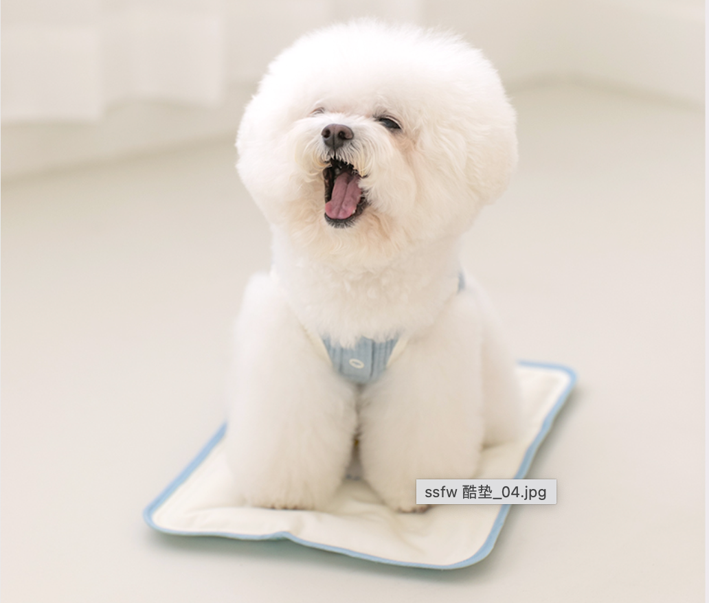 BiteMe-Summer Cooling Mat:Suitable for Travel[BiteMe-夏日冰垫:适合出行款-3种款式] image 2