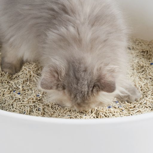 NEW Pidan Classic Composite Cat Litter-2.4kg[新换代-Pidan经典豆腐膨润土混合2.4kg] image 5