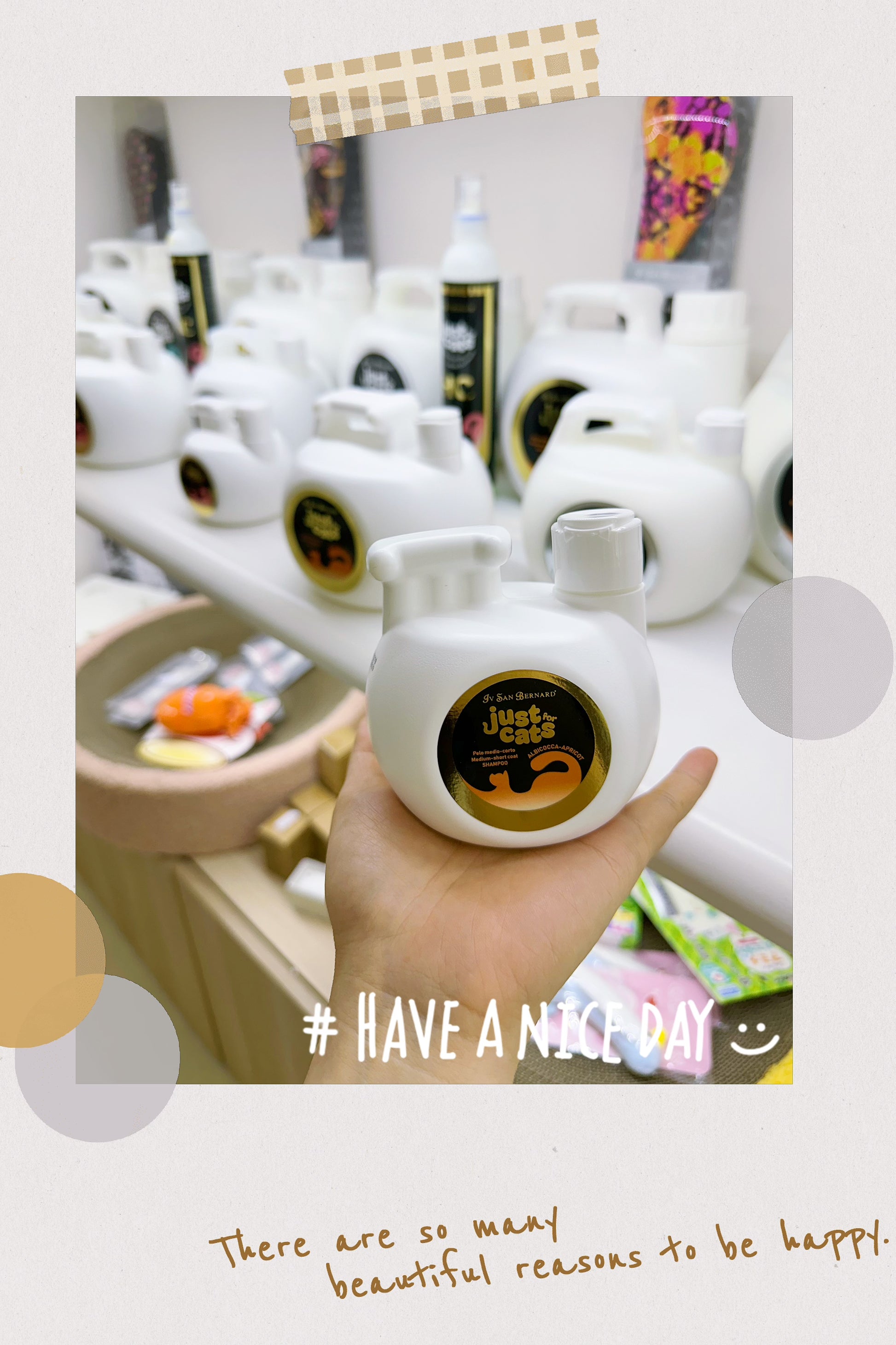 Iv San Bernard-Just for Cats: Apricot SH/CON w Pump[伊珊娜-猫猫专属:杏仁日常维护香波/护毛素-配泵头] image 0