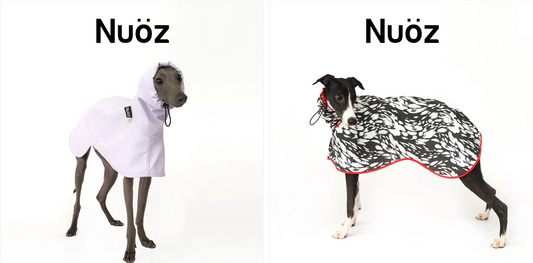Nuoz Pet PU leather raincoat image 0
