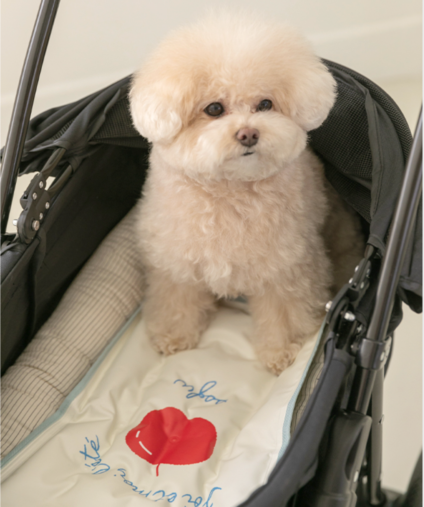 BiteMe-Summer Cooling Mat:Suitable for Travel[BiteMe-夏日冰垫:适合出行款-3种款式] image 5