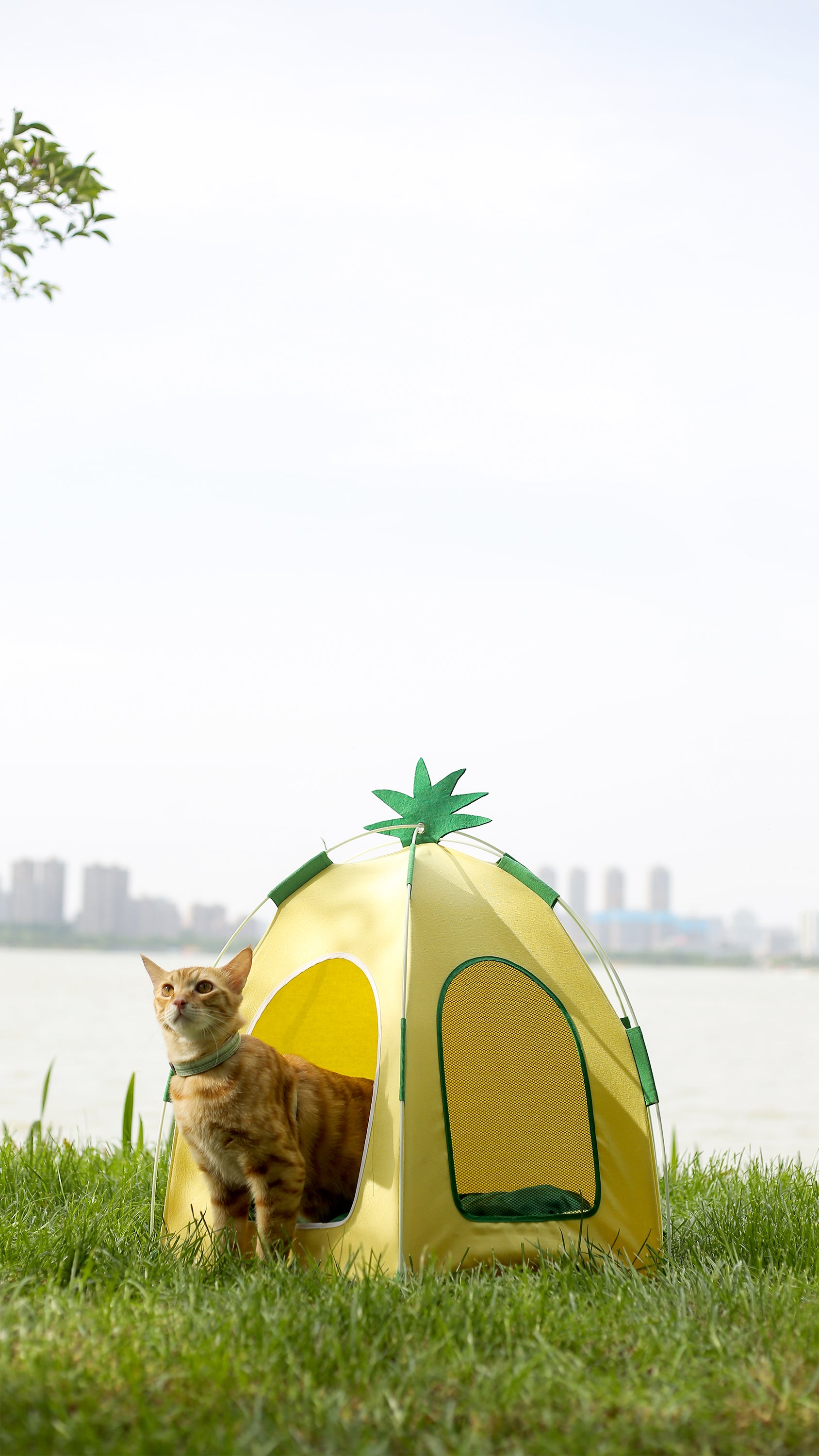 Pet Pineapple Big Tent-75x65cm[菠萝宠物大帐篷-75x65cm] image 6