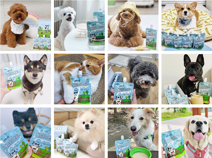 Harujoy-Milk for Cats&Dogs:100ml[快乐奶牛-猫狗兼用宠物奶:100ml] image 10