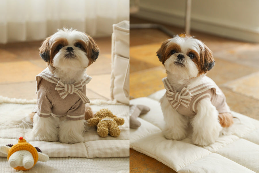 Ba&ttang-Marine Sailor Knit Pullover:mocha[Ba&ttang-水手服小毛衣:摩卡色] image 4