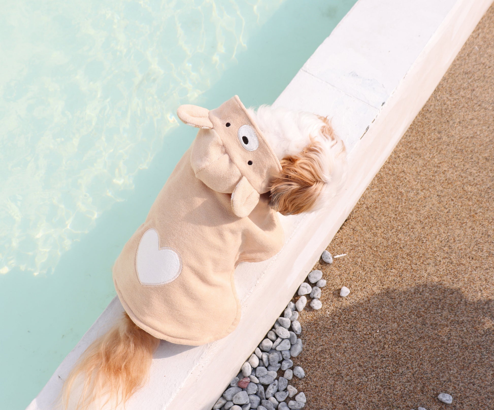 Durang Rurang Bear Hoody[韩国Durang Rurang心形小熊套头帽衫] image 1