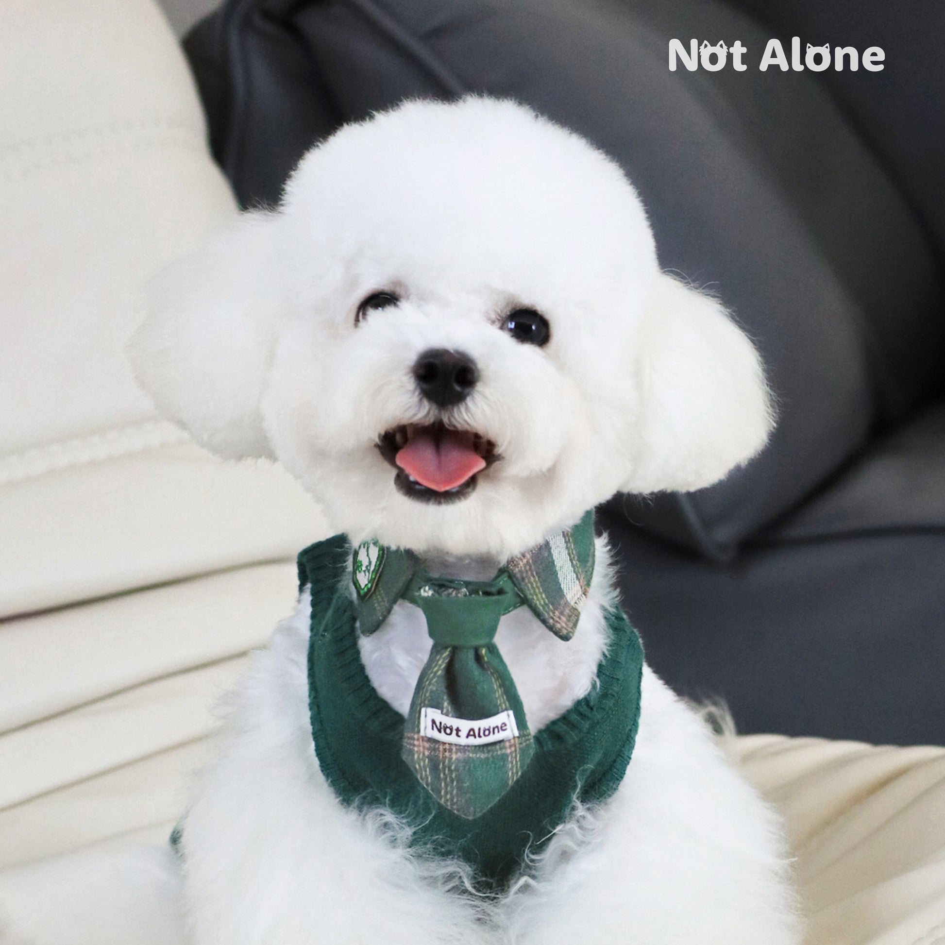 NotAlone-Magic House Pet Bib[不孤岛-魔法学院系列哈利波特风宠物格纹领带] image 4