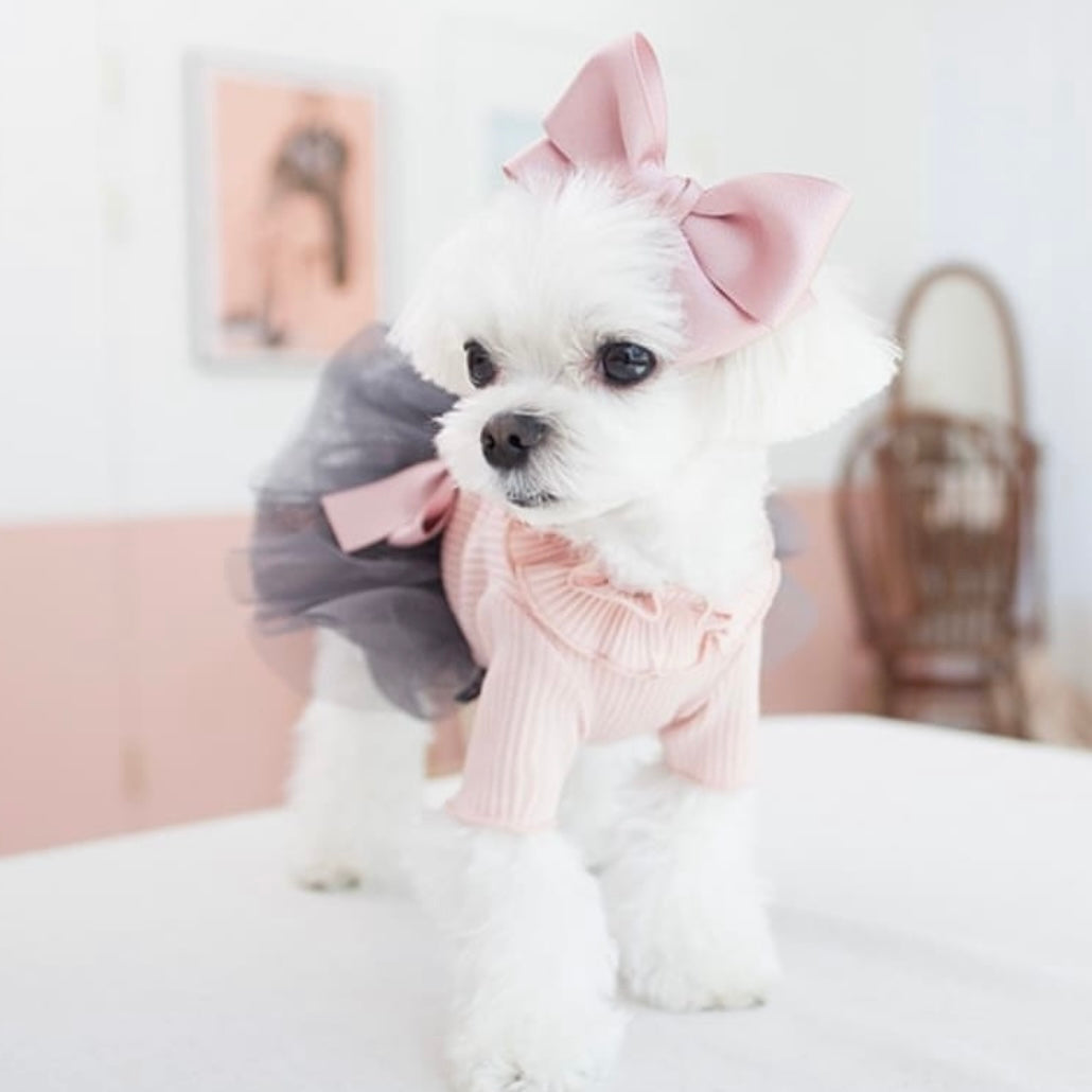 CocoChien Cute Lace Dress[韩国CocoChien可爱蓬蓬连衣裙(2种颜色)] image 4