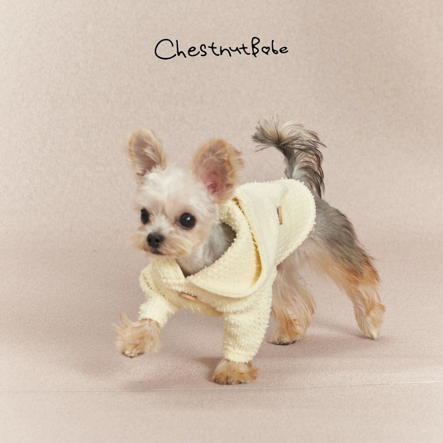 Chestnutbabe-Yellow huddie[Chestnutbabe-黄色帽衫] image 1