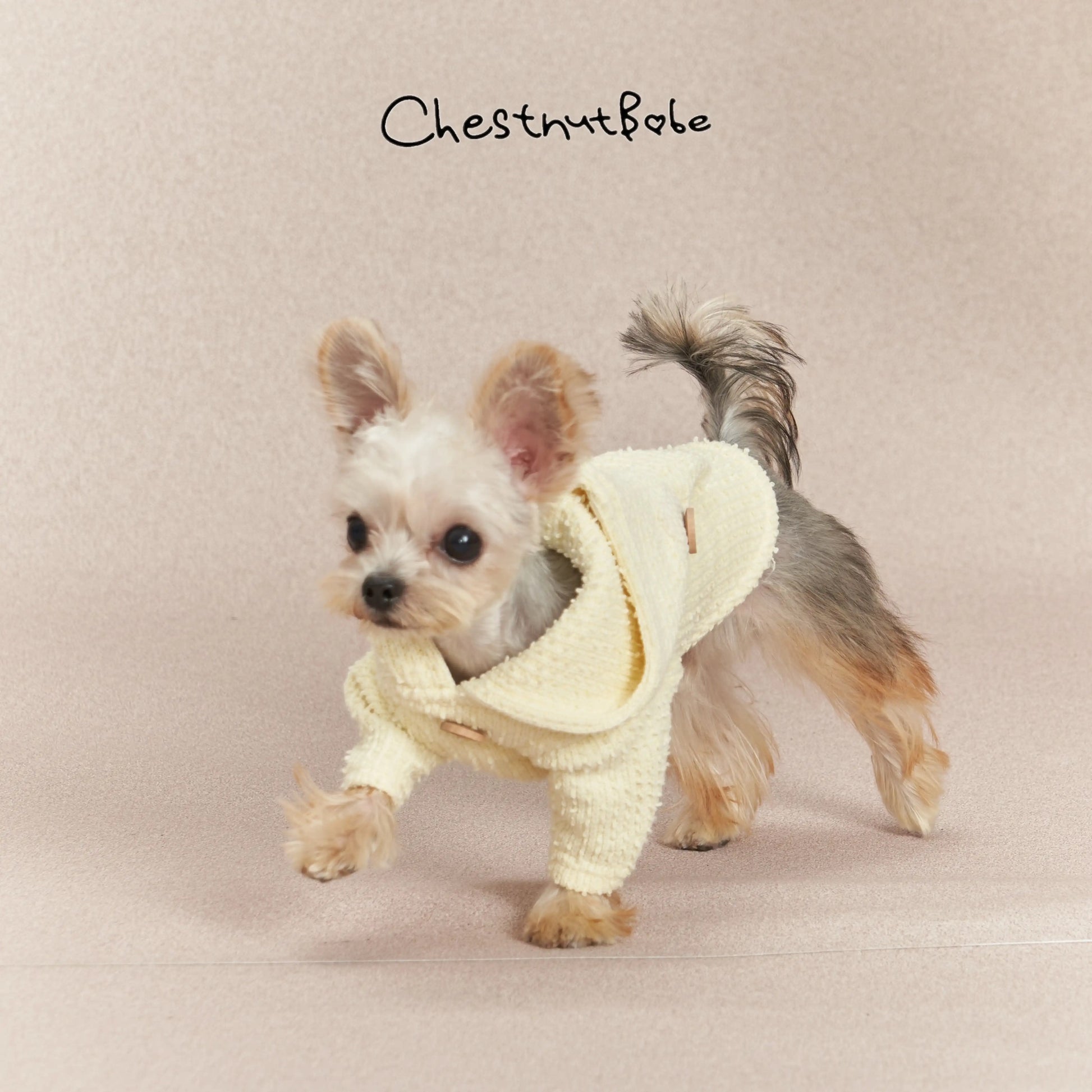 Chestnutbabe-Yellow huddie[Chestnutbabe-黄色帽衫] image 1