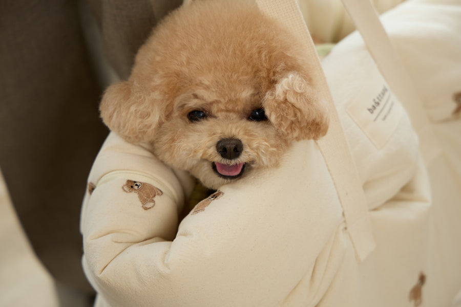 Ba&ttang-Teddy Bear Stroller Seat & Bag[Ba&ttang-百变出行包:可成为推车内垫] image 2