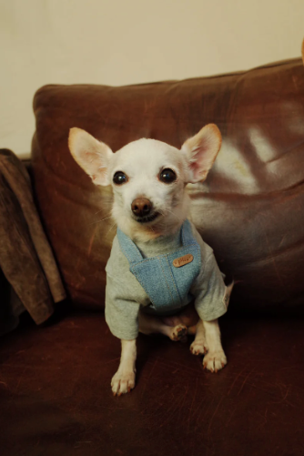 Patuu Light Denim Skirt image 3