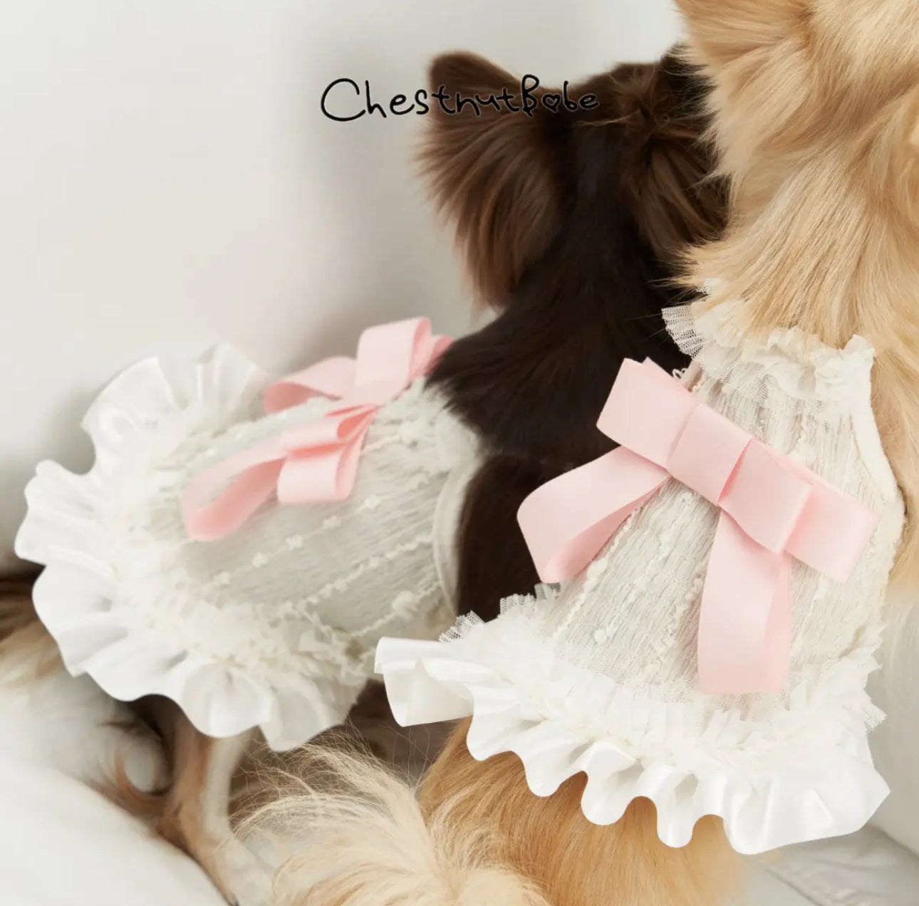 ChestnutBabe-ButterSea Pet Dress[Chestnutbabe-ButterSea 蝴蝶结吊带裙] image 0