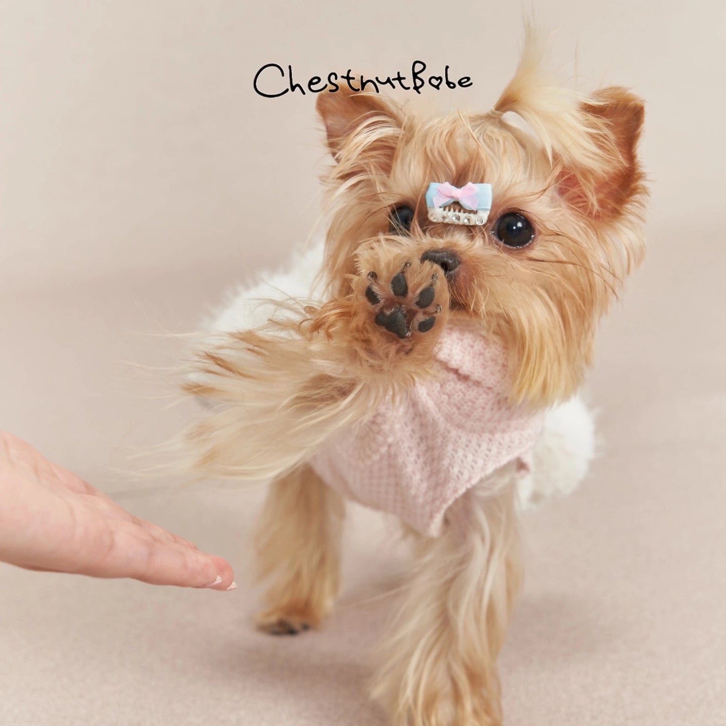 Chestnutbabe-Little Cake Dress[Chestnutbabe-毛绒小蛋糕衣裙] image 4