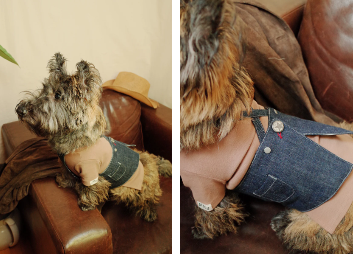 Patuu Pet Jumper image 4