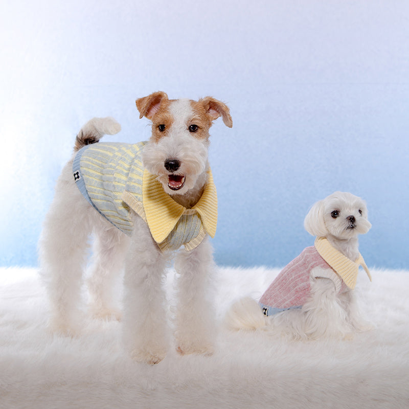 Dotty Lab Contrast striped knitted vest image 3