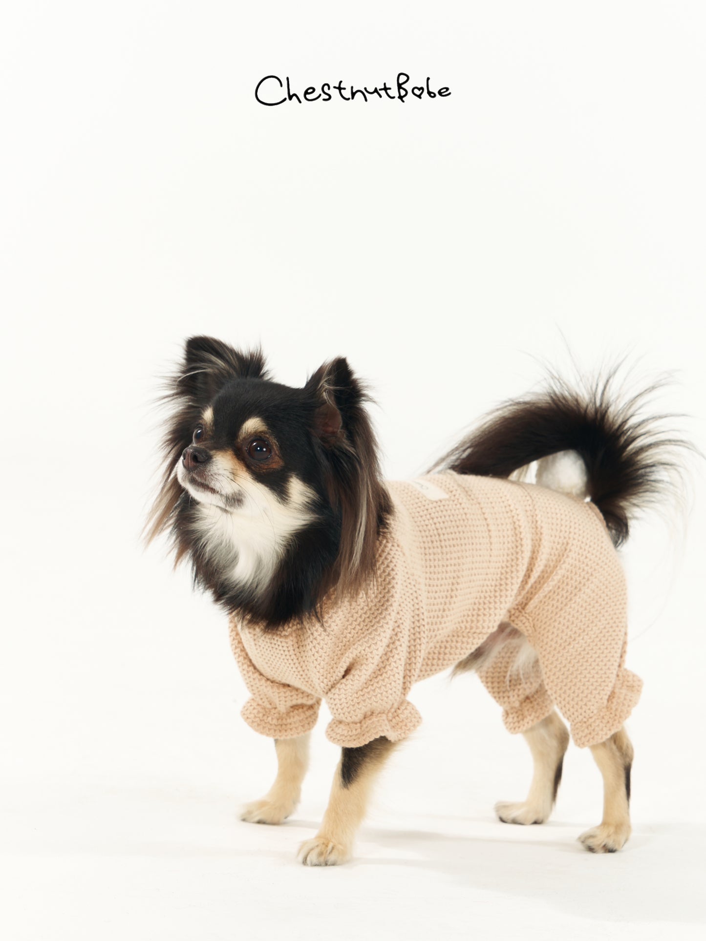 Chestnutbabe-rabbit jumper[Chestnutbabe-兔子四脚衣] image 2