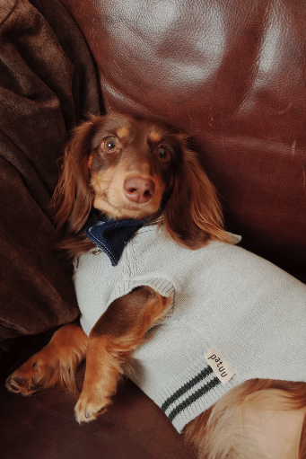 Patuu Denim Star Patch Navy Style Sweater image 3