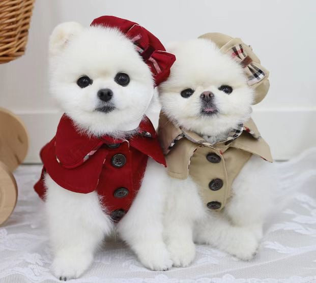 Pets&Me Coat with Hat[韩国Pets&Me英伦范风衣带帽子] image 4