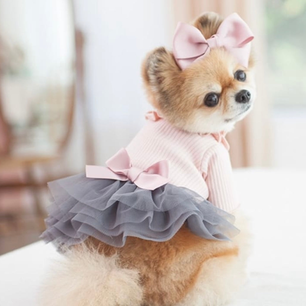 CocoChien Cute Lace Dress[韩国CocoChien可爱蓬蓬连衣裙(2种颜色)] image 5