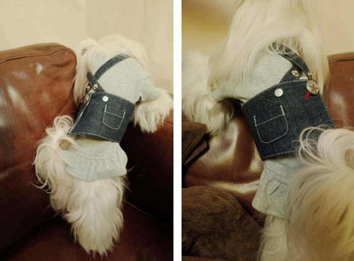 Patuu Pet Jumper with Skirt Hem image 4