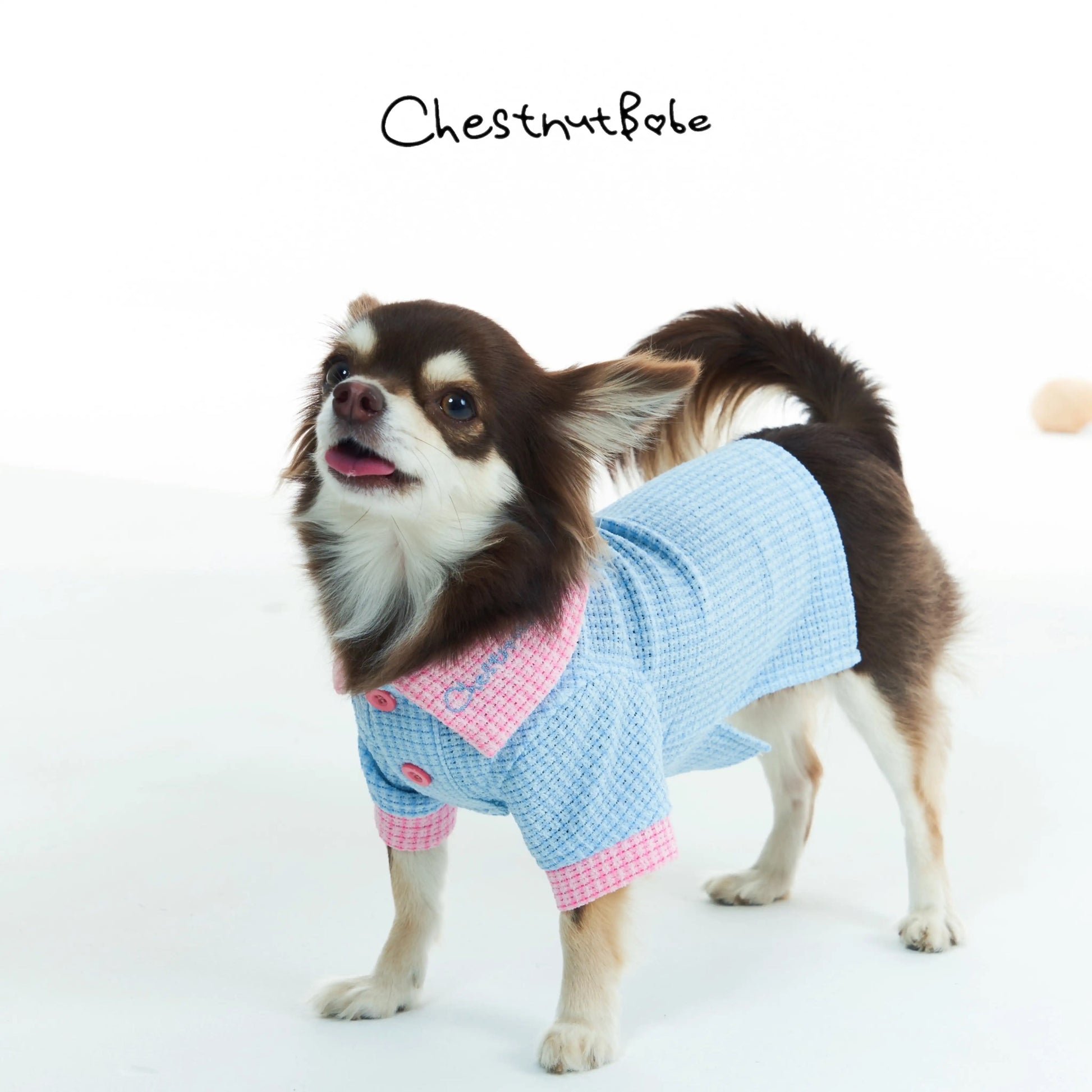 Chestnutbabe-Golf Polo[Chestnutbabe-高尔夫Polo衫] image 2