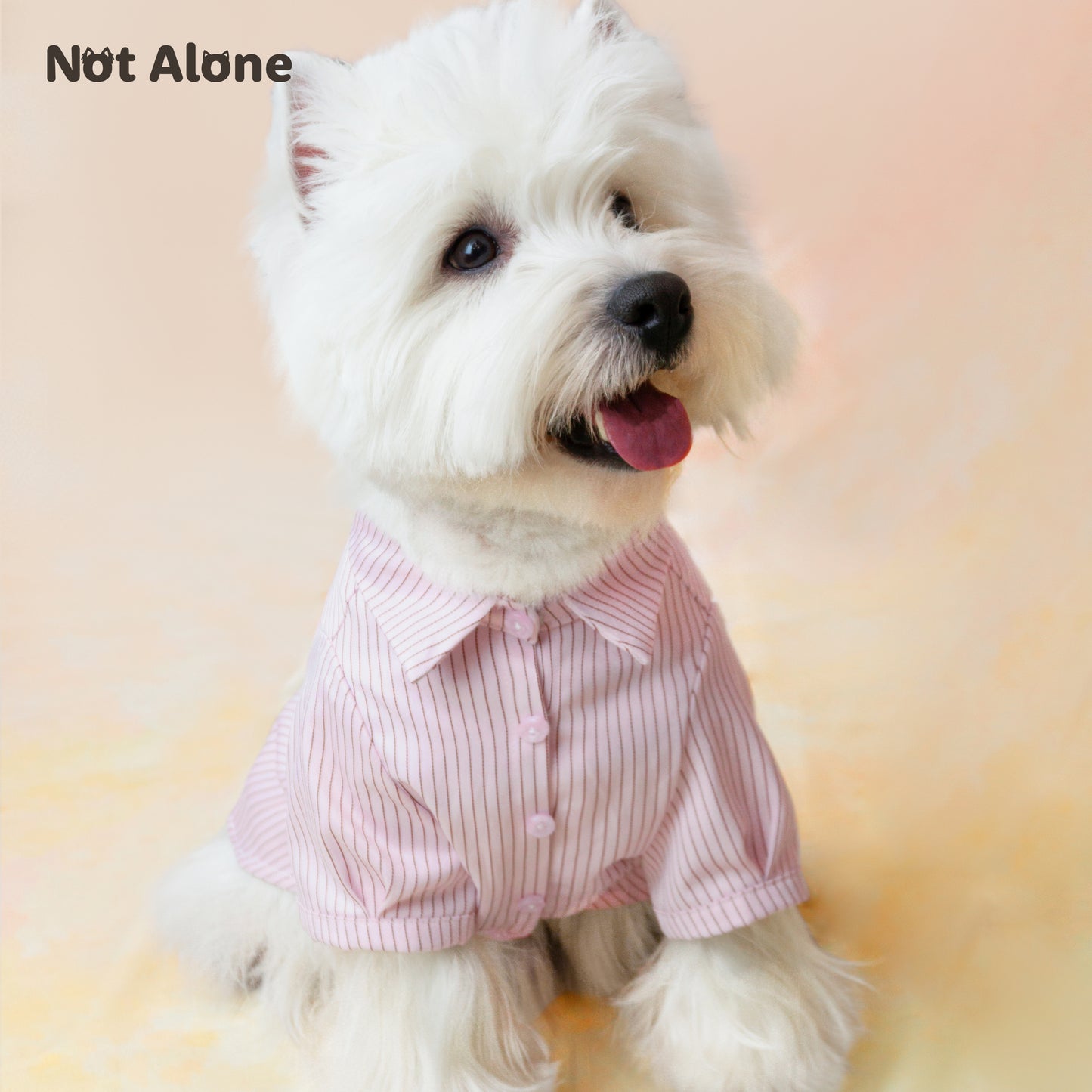 NotAlone-Striped Pet Shirt[不孤岛-下午茶条纹衬衫] image 3