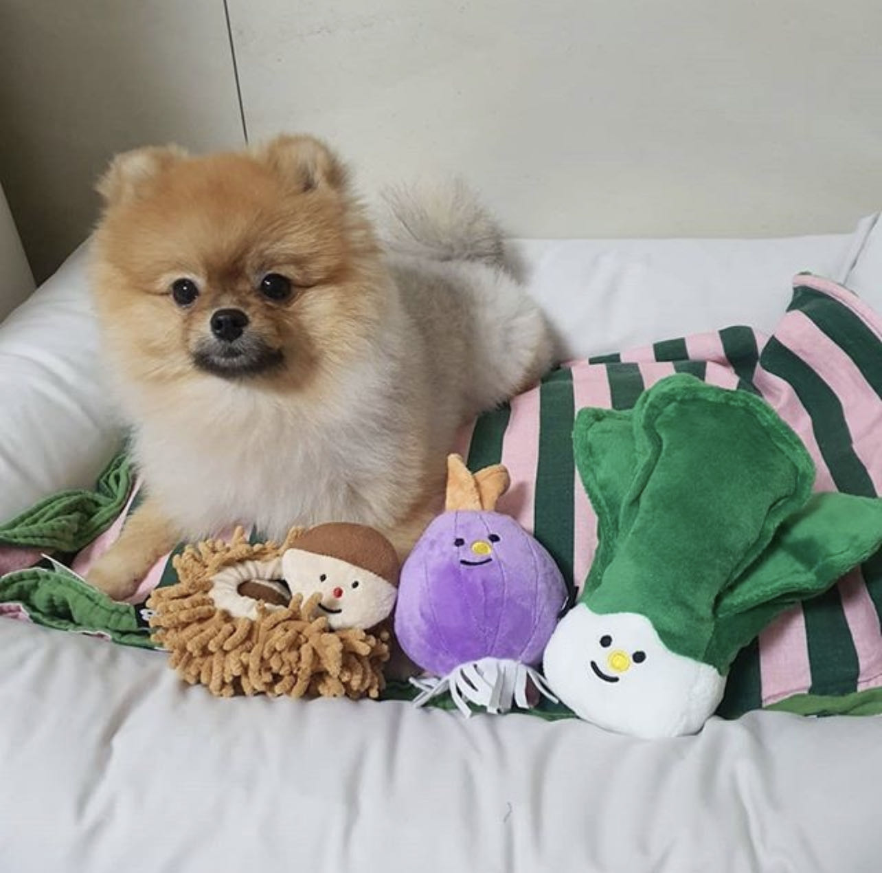 BiteMe-Vegetable Series Toy[BiteMe-蔬菜系列玩具] image 1