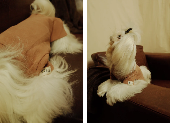 Patuu Pet Jumper image 3