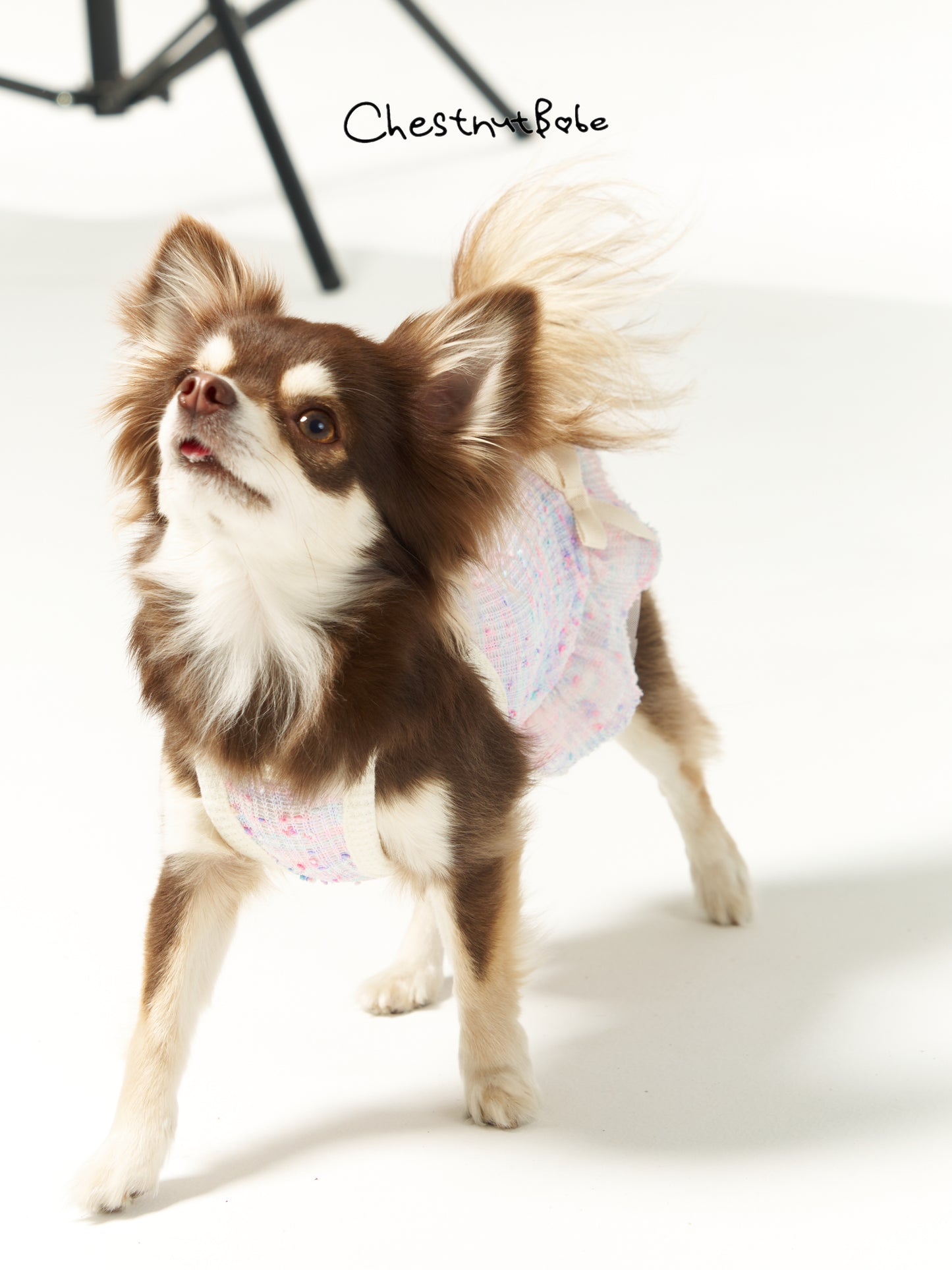 Chestnutbabe -"A Midsummer Night's Dream" suspender skirt[Chestnutbabe-仲夏夜之梦裙子] image 5