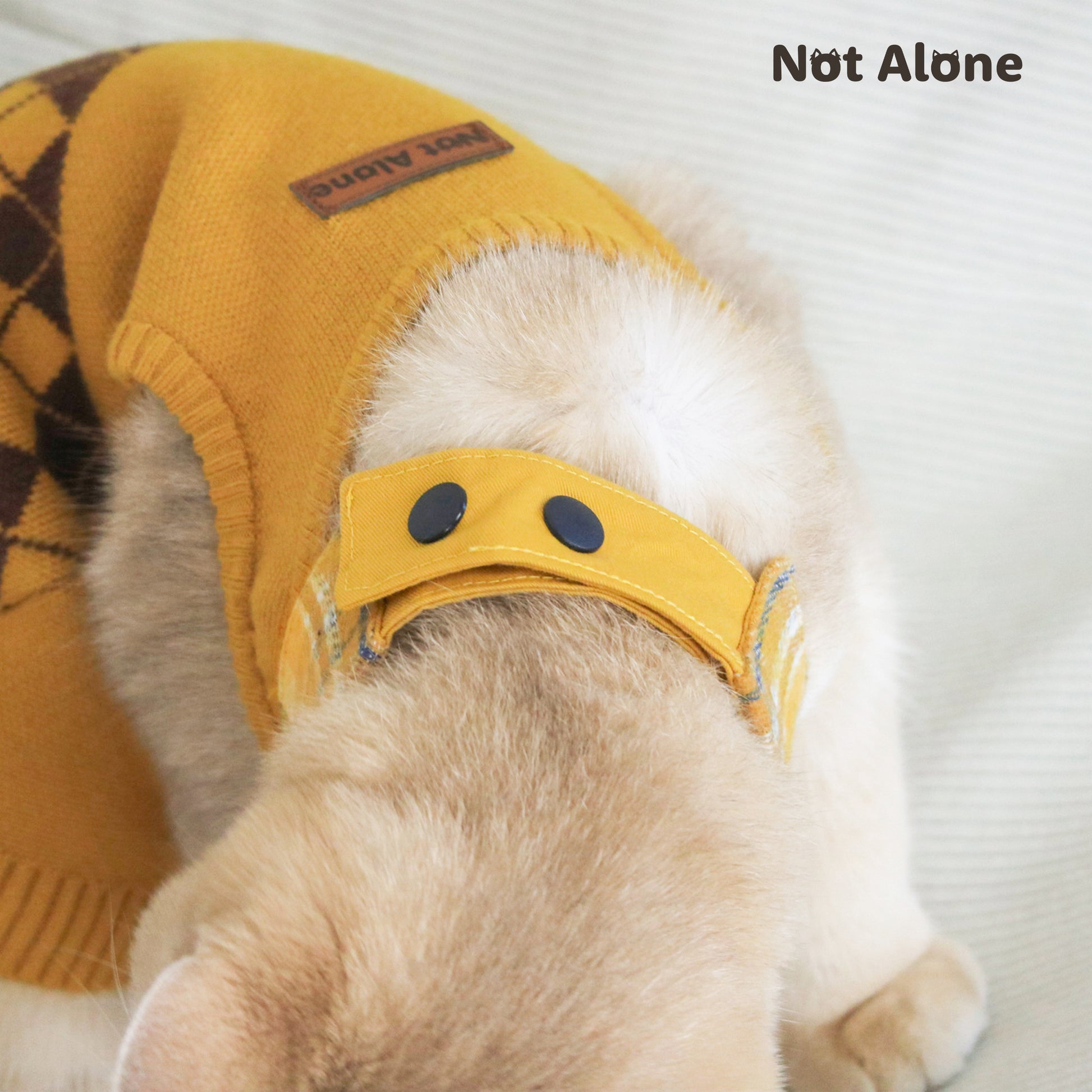 NotAlone-Magic House Pet Bib[不孤岛-魔法学院系列哈利波特风宠物格纹领带] image 6