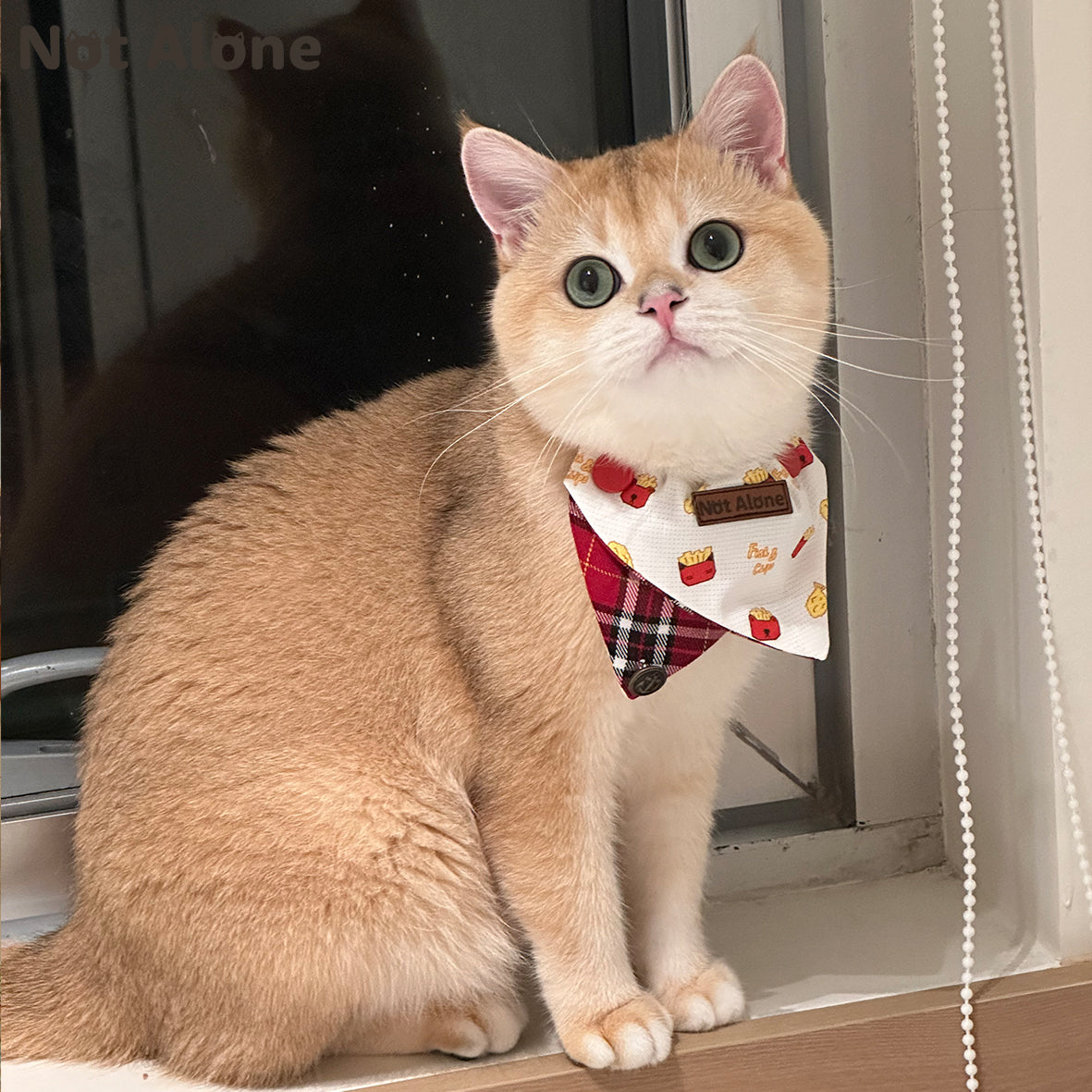 NotAlone-Fish&Chips Pet Bib[不孤岛-炸鱼薯条口水巾] image 5