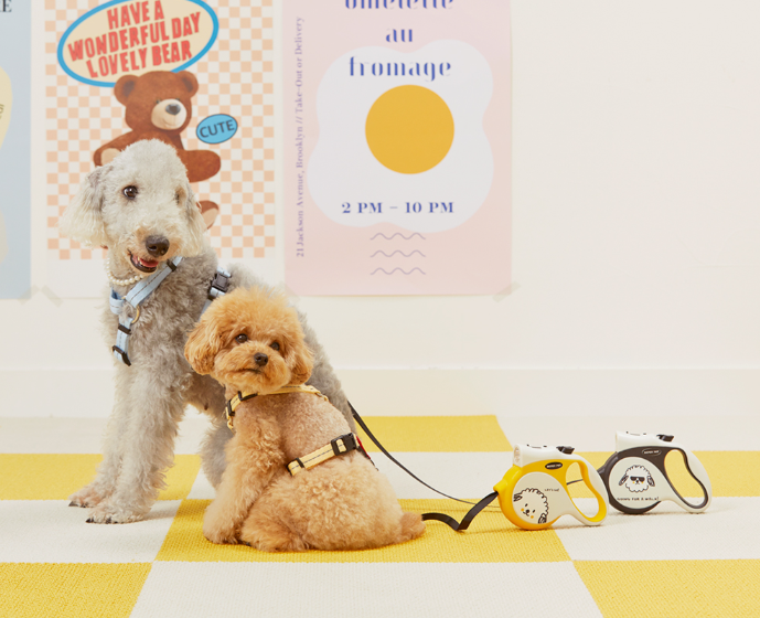 SEVEN PET- LED LIGHT RETRA CTABLE LEASH[闪亮LED自动牵引绳3米长] image 1