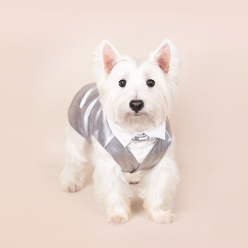 Dotty Lab Satin Suit Vest image 2