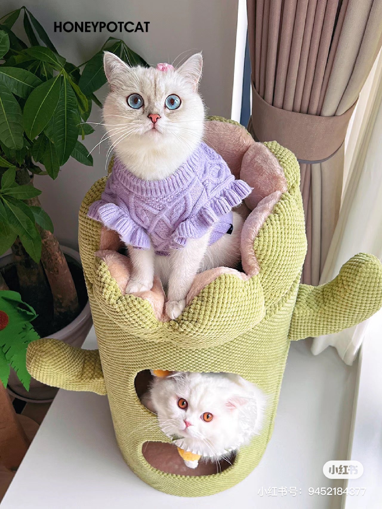 Honeypot Cat-Cactus Cat Nest Collection[蜜罐猫-仙人掌猫窝系列] image 1