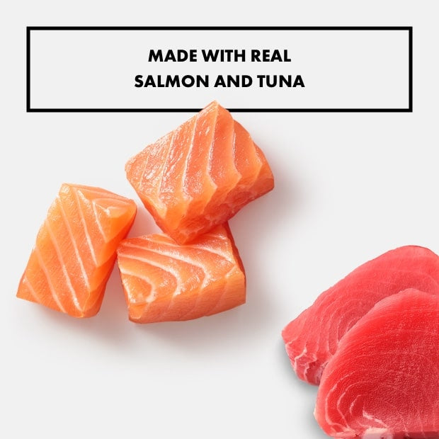 Nutro PATÉ Natural Wet Cat Food[美国Nutro美士一分为二主食餐盒75g(多味道可选)] image 8