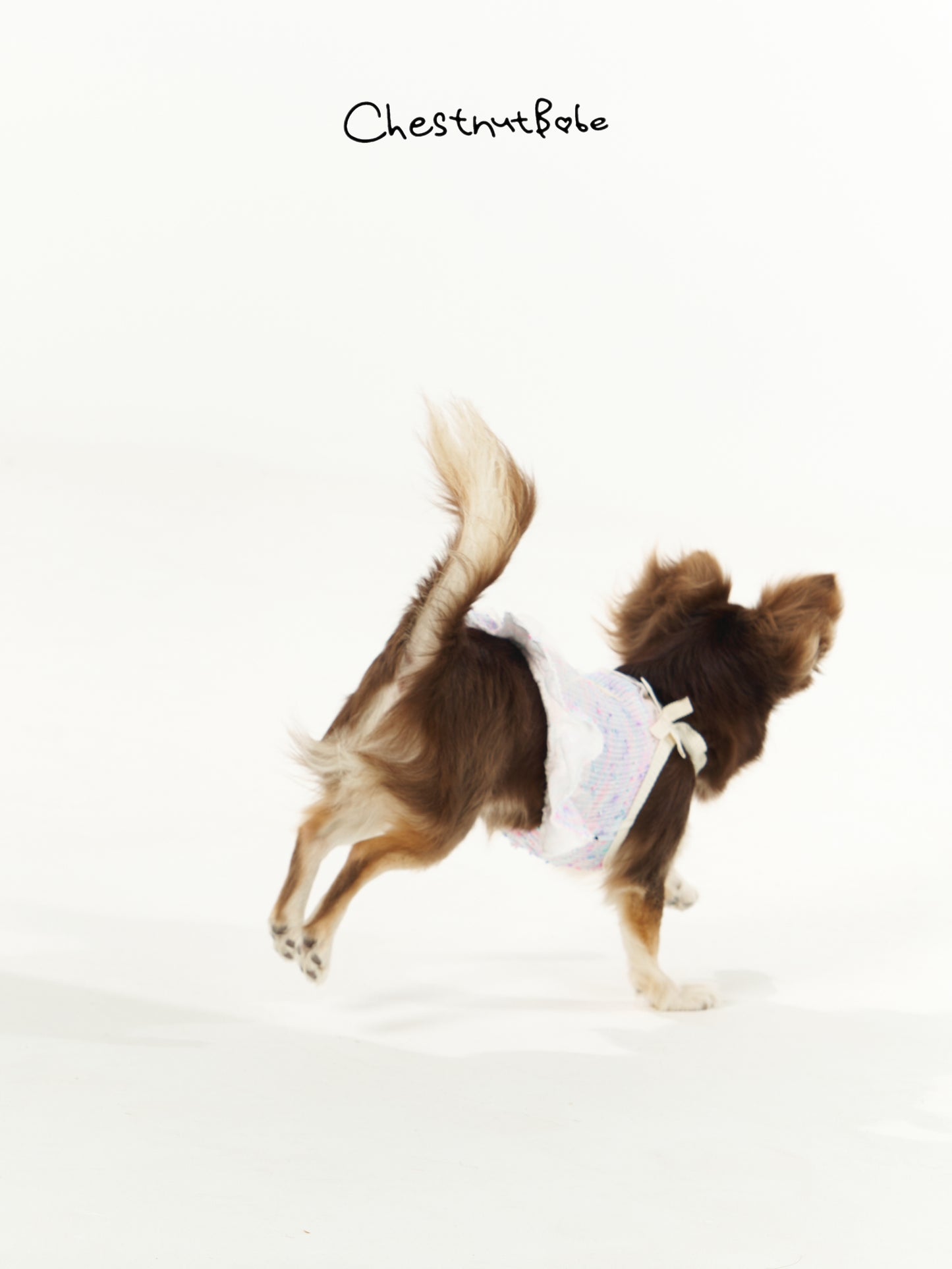 Chestnutbabe -"A Midsummer Night's Dream" suspender skirt[Chestnutbabe-仲夏夜之梦裙子] image 3