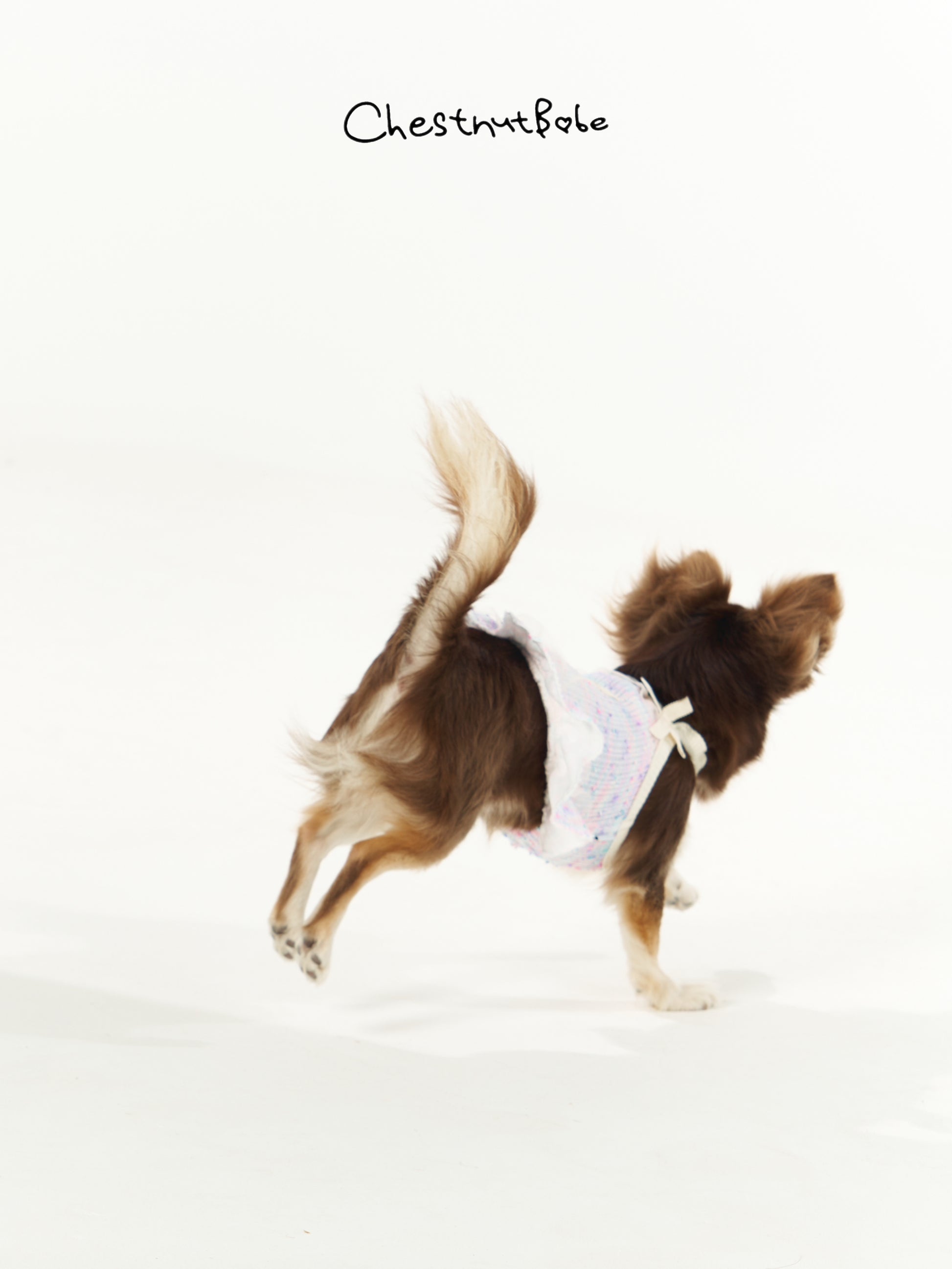 Chestnutbabe -"A Midsummer Night's Dream" suspender skirt[Chestnutbabe-仲夏夜之梦裙子] image 3