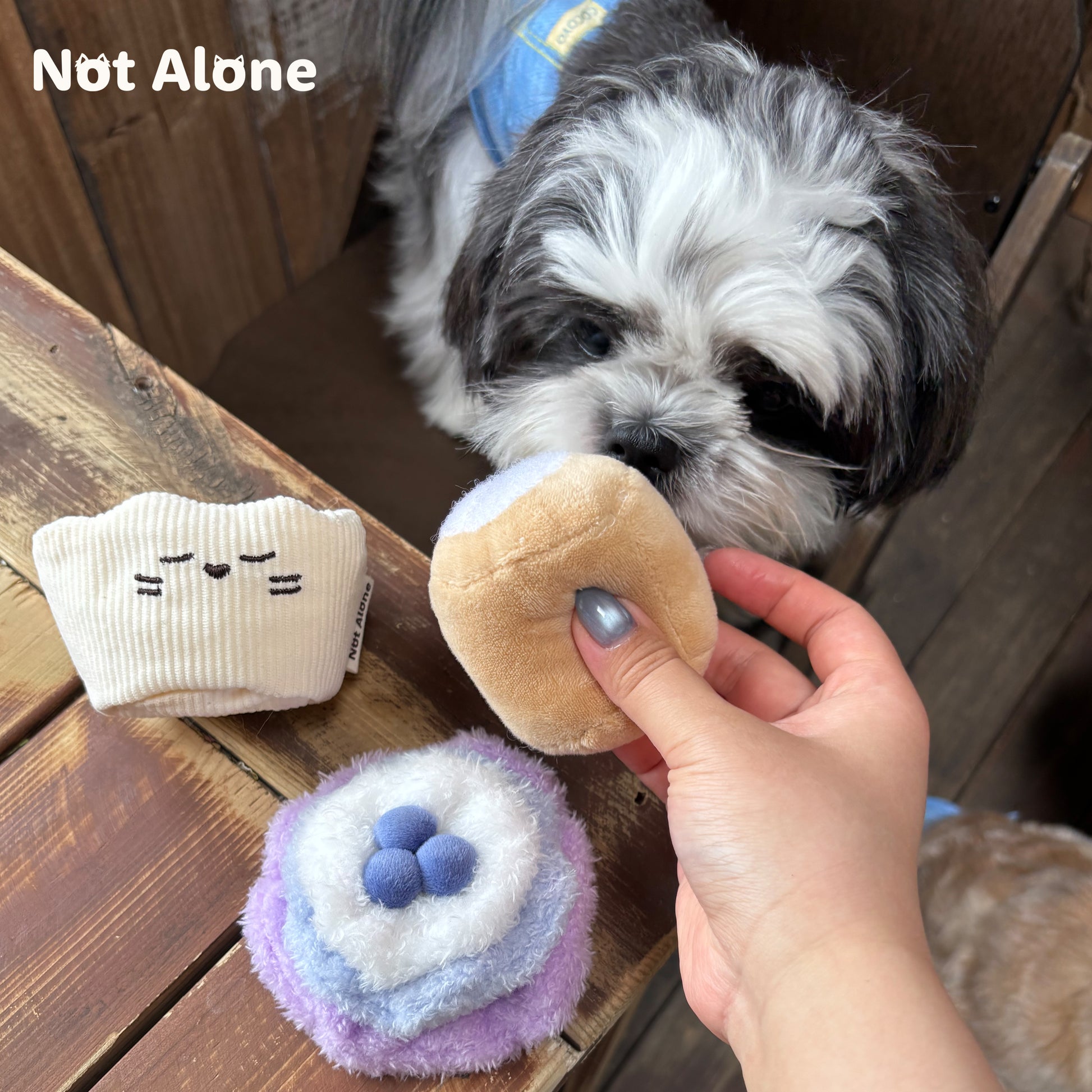 Not Alone Afternoon Tea Pet Plush Toy Blind Box 下午茶宠物玩具盲盒 image 4