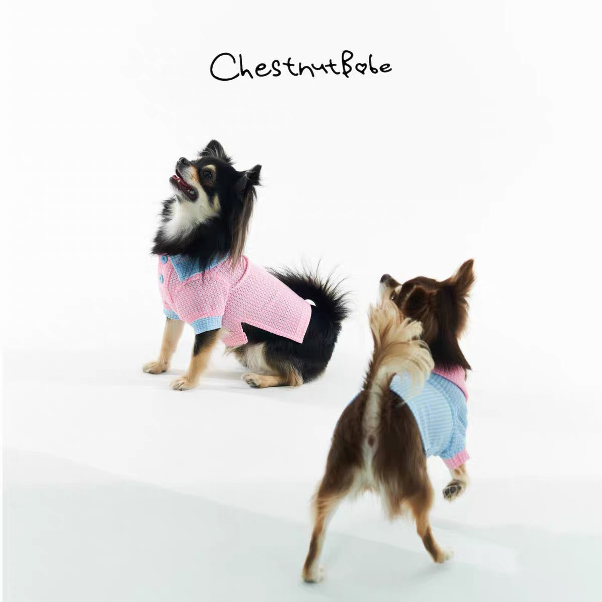 Chestnutbabe-Golf Polo[Chestnutbabe-高尔夫Polo衫] image 0