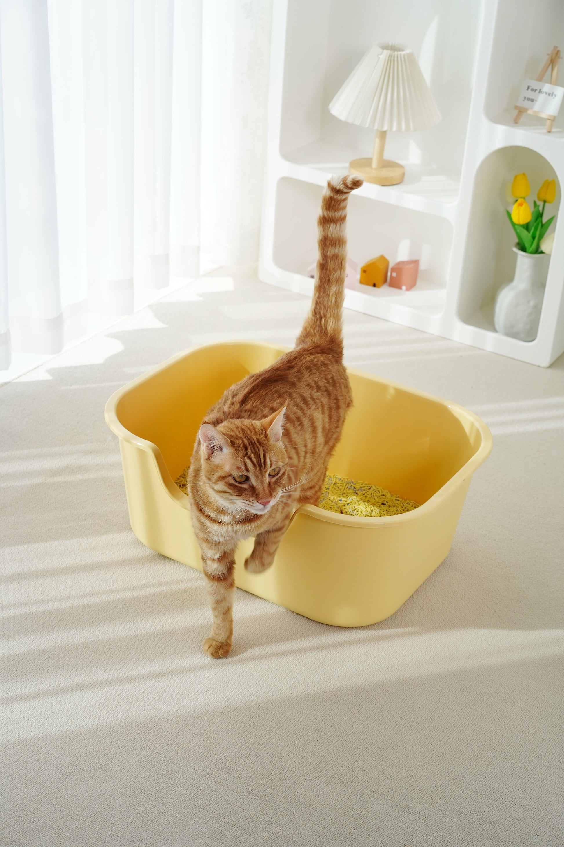 Big Strong Open Cat Litter Box-3 Colours-56x41x22cm[大号敞口猫砂盆-3种颜色-56x41x22cm] image 9