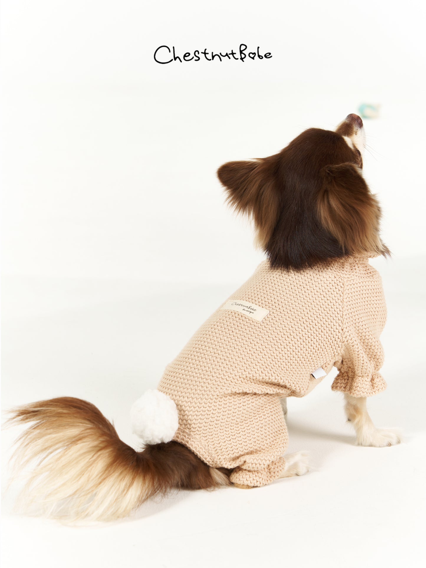 Chestnutbabe-rabbit jumper[Chestnutbabe-兔子四脚衣] image 3