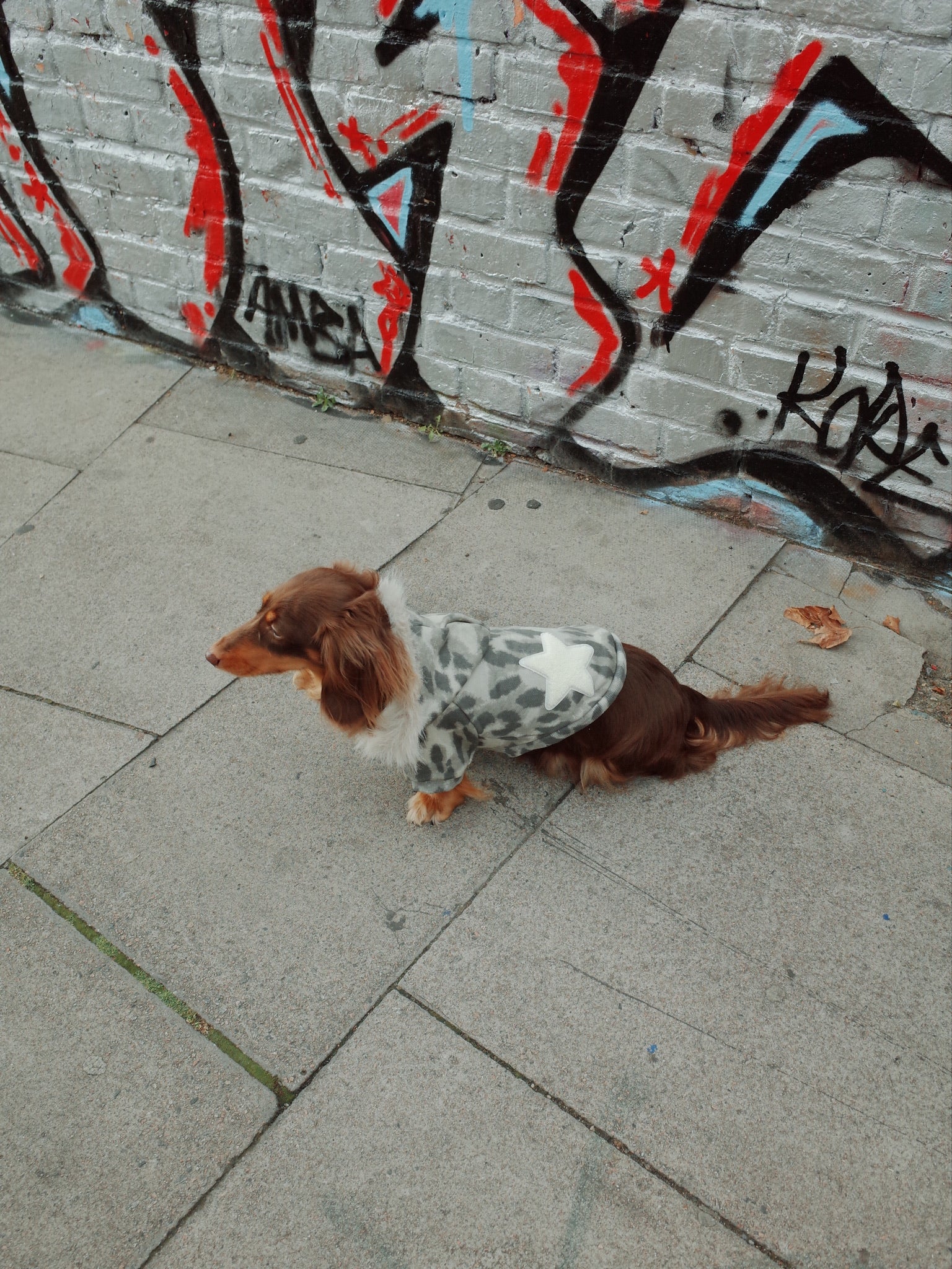 Patuu Leopard Hoodie[Patuu 宠物豹纹外套] image 1