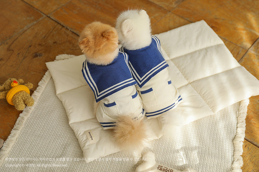 Ba&ttang-Marine Sailor Knit Pullover: ivory/blue[Ba&ttang-水手服小毛衣:蓝色] image 1