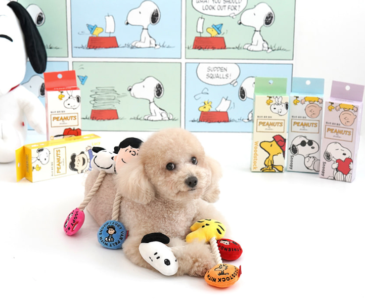 Snoopy Push-Pull Toy[韩国Snoopy联名咬咬玩具] image 1