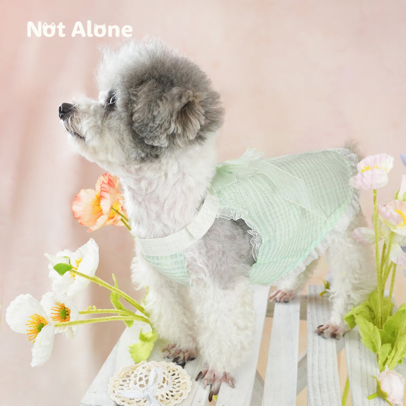 NotAlone-Fairy Bow Dress[不孤岛-下午茶泡泡裙] image 2