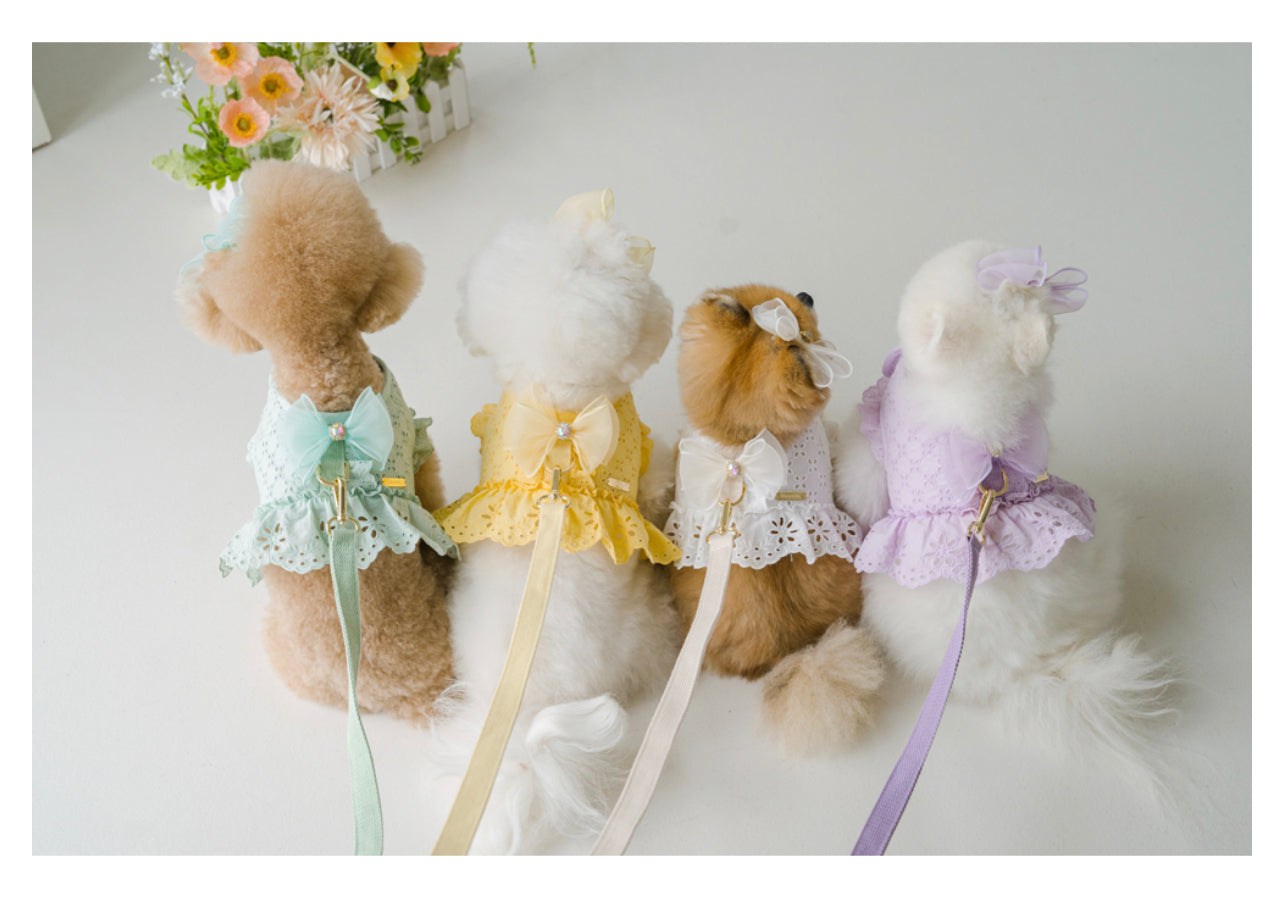 Pets&Me Lace Suit-New Arrivals[韩国Pets&Me新款蕾丝套装/胸背+牵引绳+胸花(多色可选)] image 1