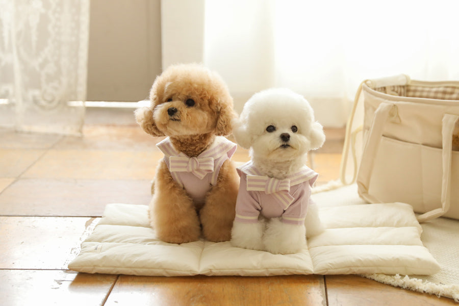 Ba&ttang-Marine Sailor Knit Pullover:lavender[Ba&ttang-水手服小毛衣:紫色] image 1