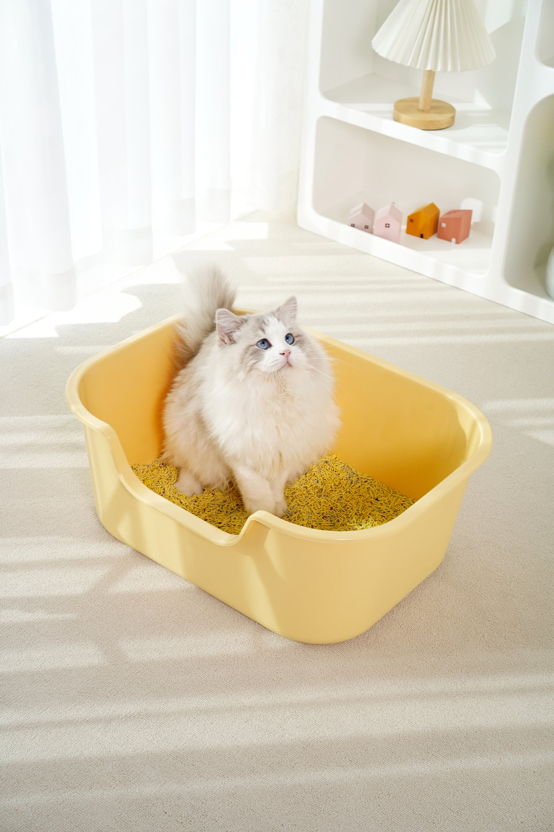 Big Strong Open Cat Litter Box-3 Colours-56x41x22cm[大号敞口猫砂盆-3种颜色-56x41x22cm] image 1
