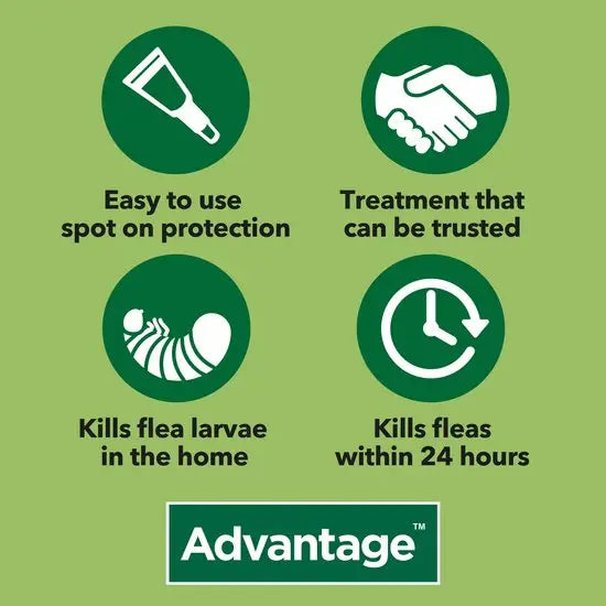 Advantage™ Spot-On Flea Treatment[Advantage体外驱虫药-跳蚤] image 2