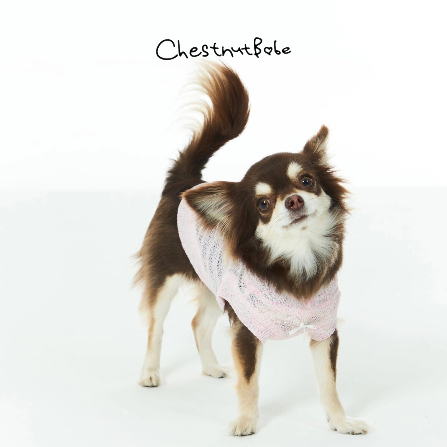 Chestnutbabe-UV protection sweater[Chestnutbabe-防晒针织卫衣] image 2